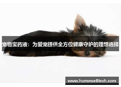 宠物宝药液：为爱宠提供全方位健康守护的理想选择