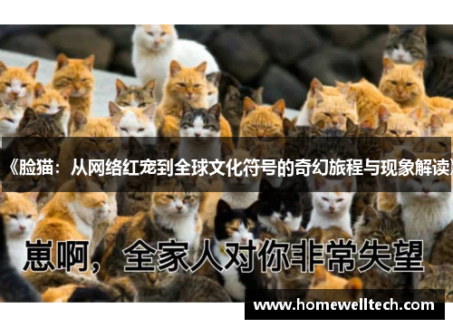 《脸猫：从网络红宠到全球文化符号的奇幻旅程与现象解读》